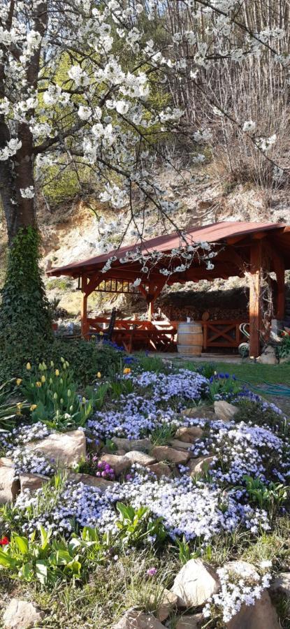 Gaestehaus Gerhardt Schweigen-Rechtenbach Dış mekan fotoğraf