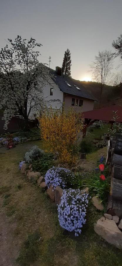 Gaestehaus Gerhardt Schweigen-Rechtenbach Dış mekan fotoğraf