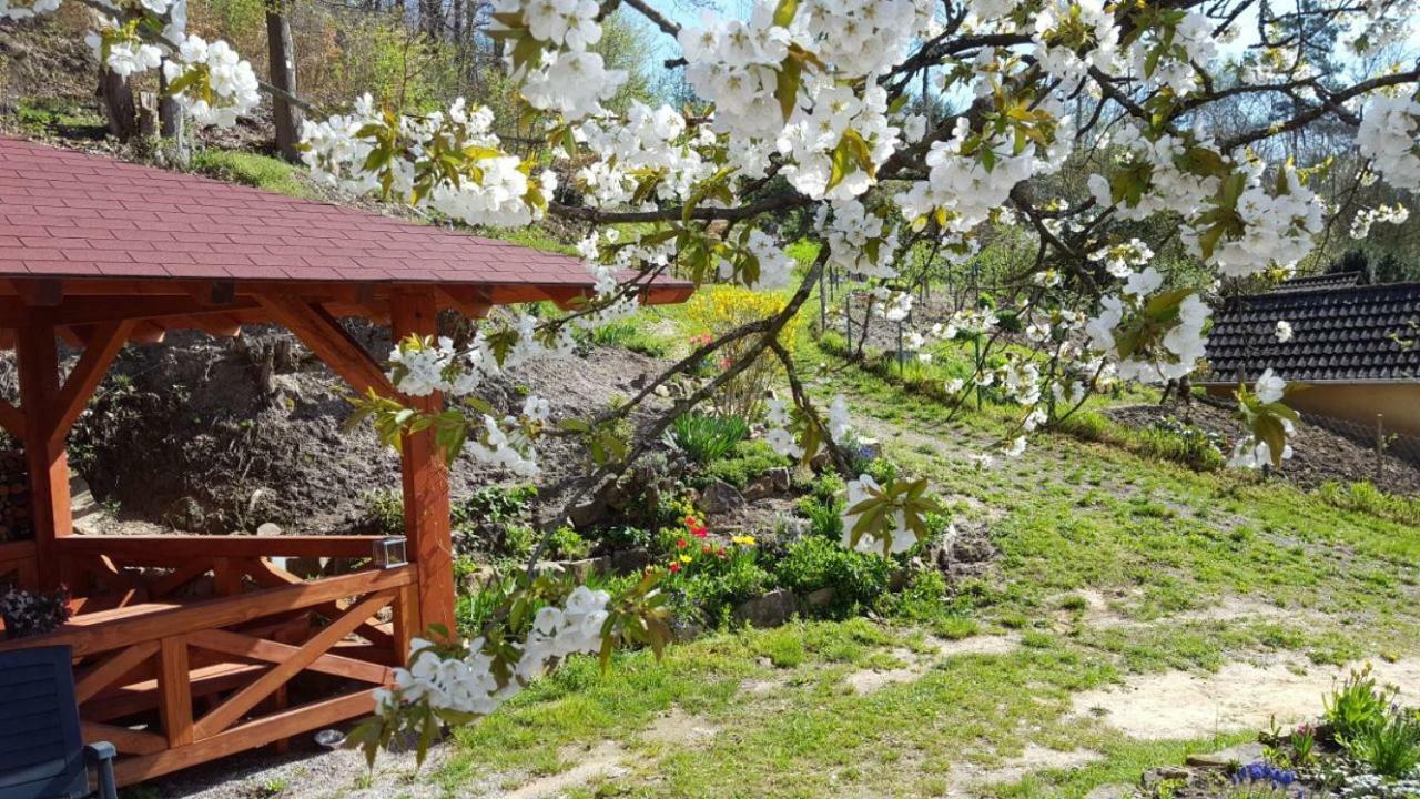 Gaestehaus Gerhardt Schweigen-Rechtenbach Dış mekan fotoğraf